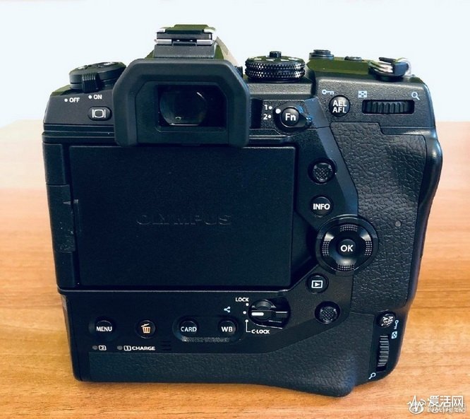 Опубликованы новые подробности о беззеркальной камере Olympus E-M1X ценой $3000