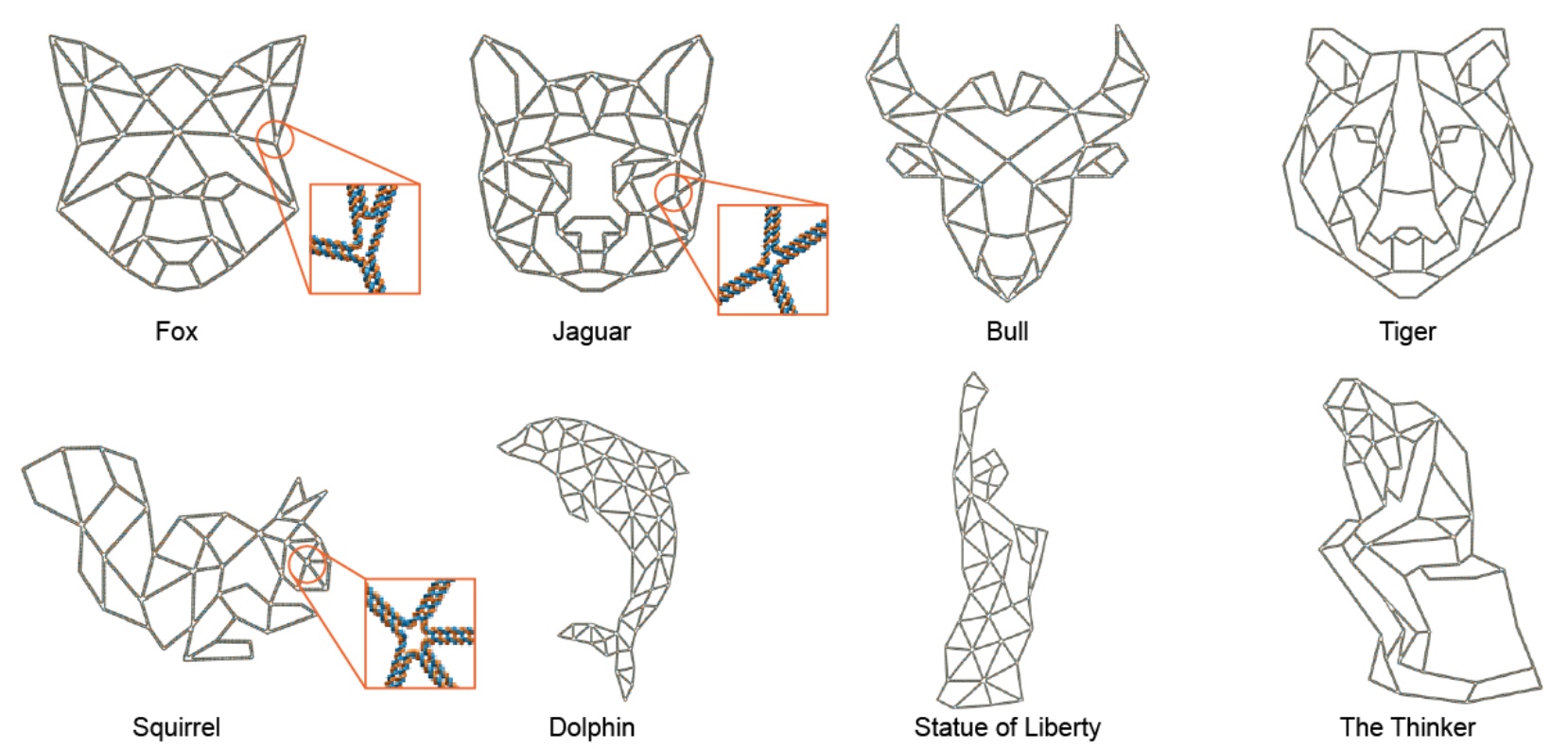 PERDIX: алгоритм автоматического проектирования ДНК-оригами разной геометрии - 1
