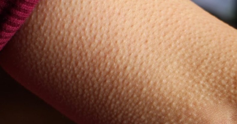 8 частей тела, которые больше не нужны человеку 8 частей тела, которые больше не нужны человеку