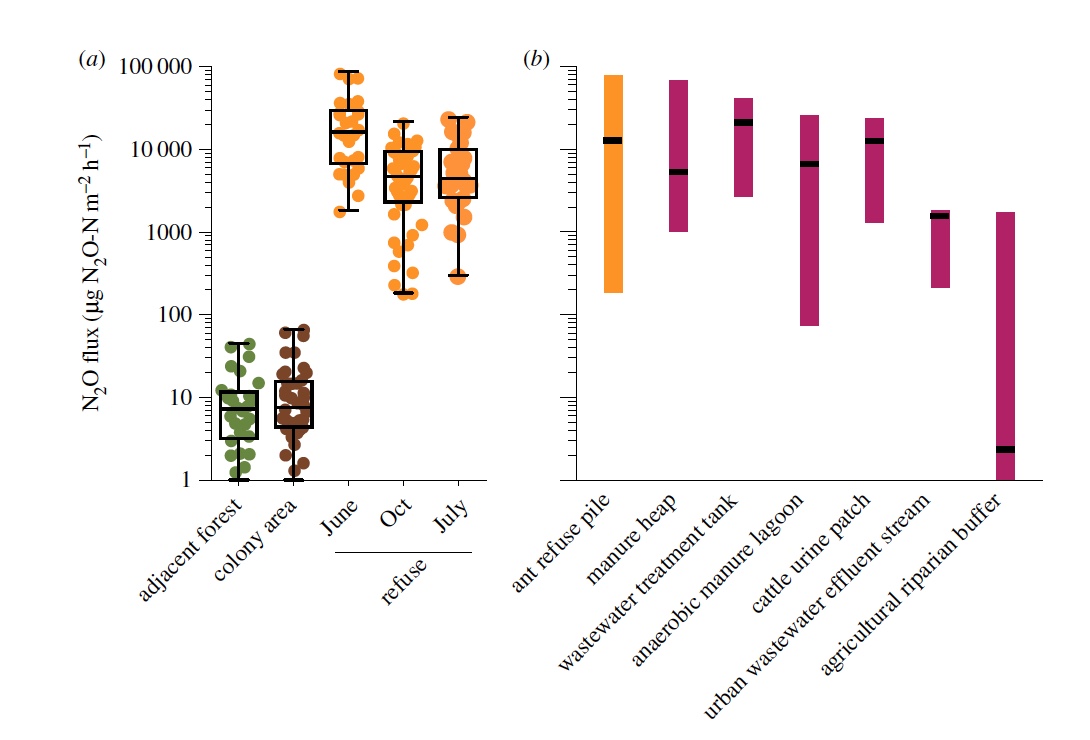 Маленькие создания, большие деяния: роль листорезов в парниковом эффекте неотропики - 6 Маленькие создания, большие деяния: роль листорезов в парниковом эффекте неотропики - 6