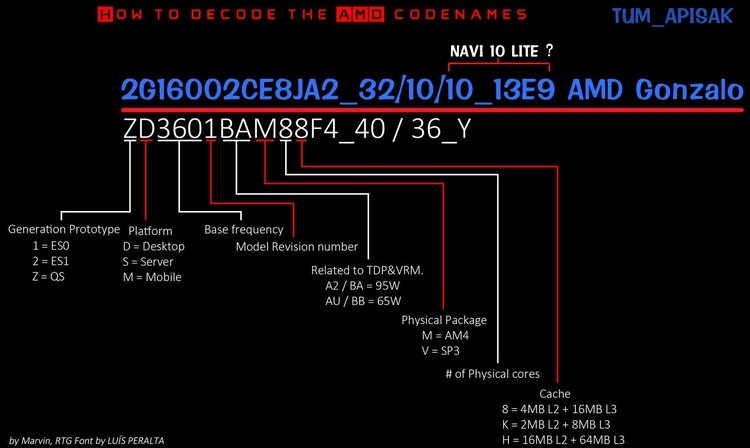 AMD Gonzalo: консольная SoC с восемью ядрами Zen 2 и графикой Navi