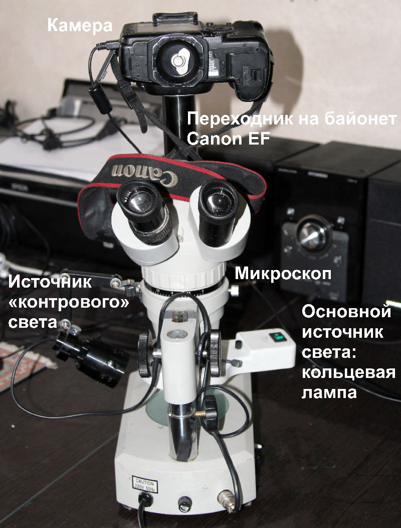 Естественный износ головок жесткого диска. Обнаружение и оценка - 1 image
