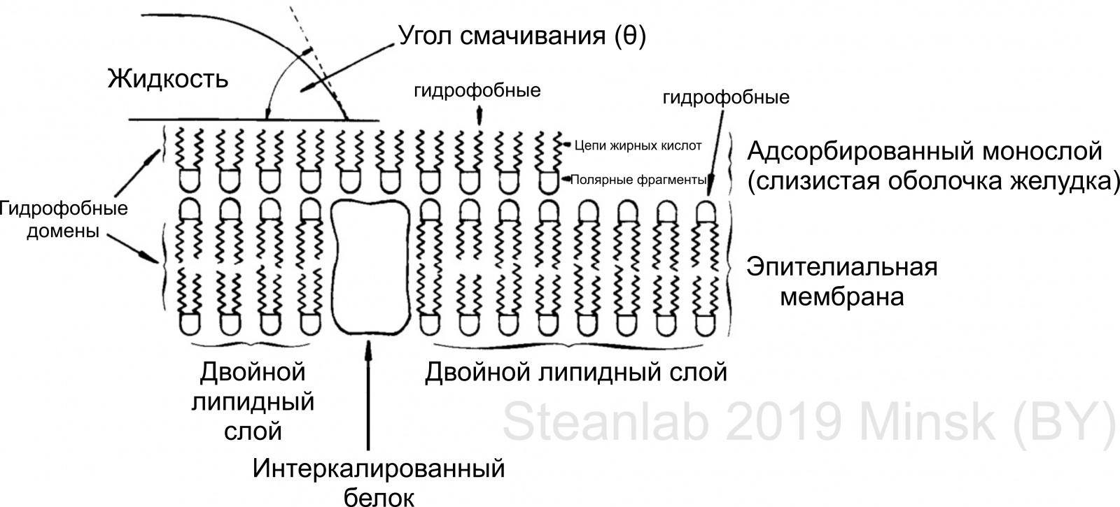 Заметки фитохимика. Закат эпохи хабра-банана - 20