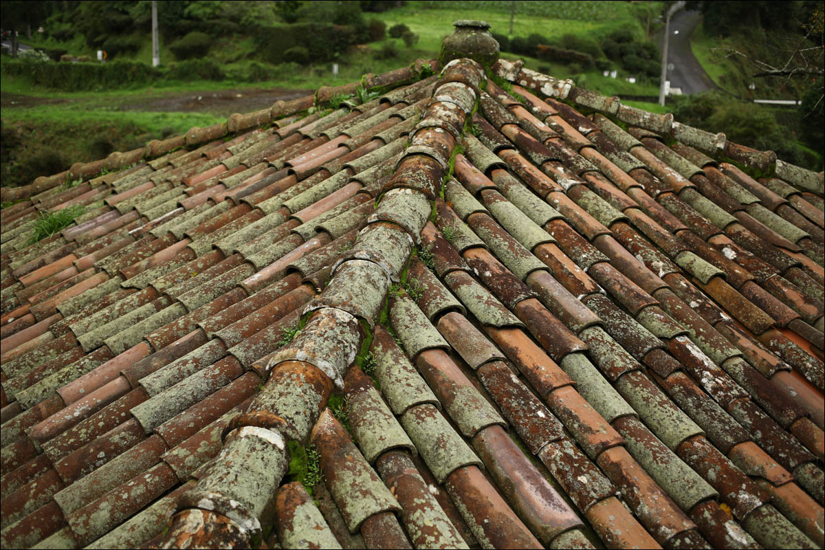 Остров Пику: как из базальтового ада сделали уютный Туссент - 12