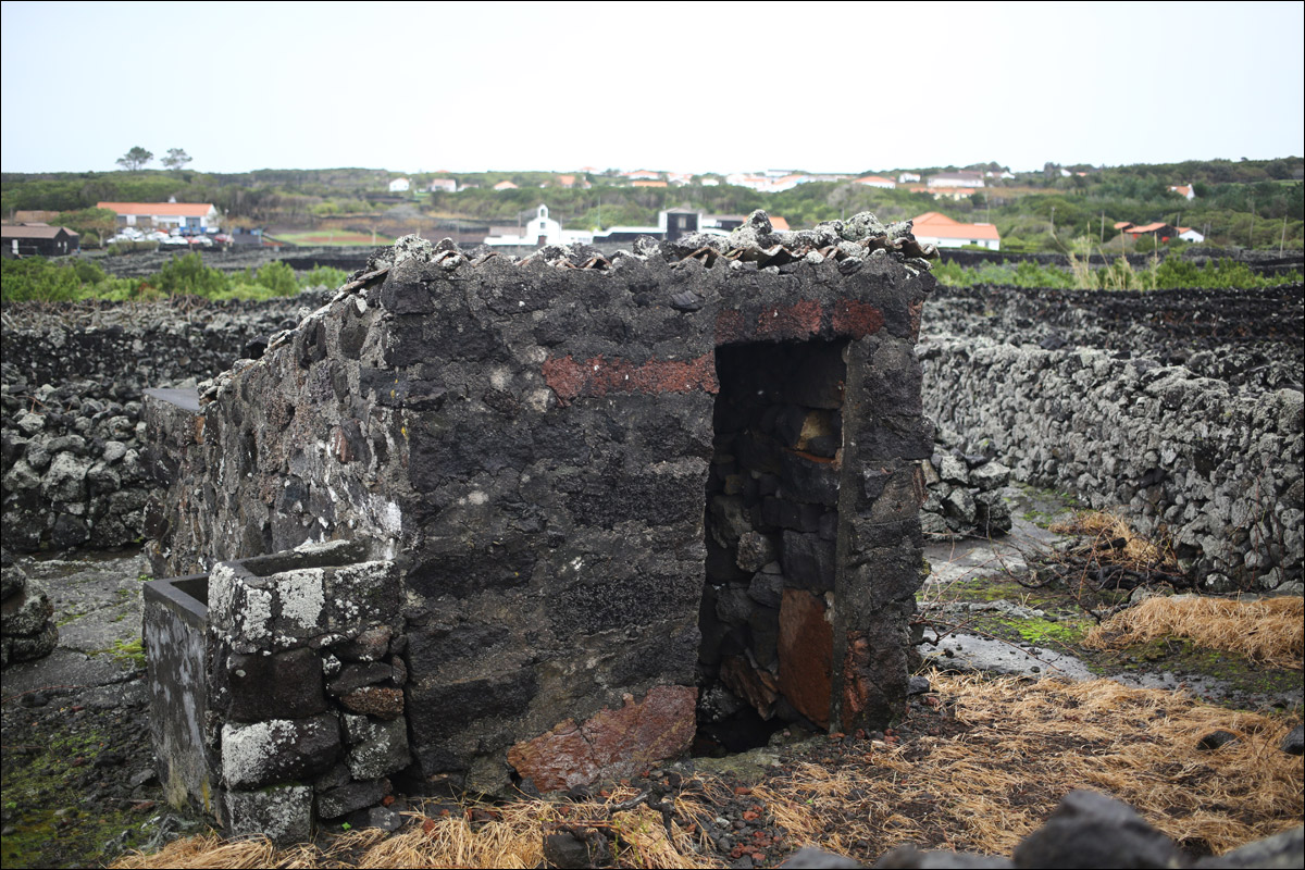 Остров Пику: как из базальтового ада сделали уютный Туссент - 14