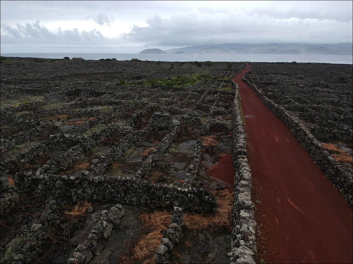 Остров Пику: как из базальтового ада сделали уютный Туссент - 5