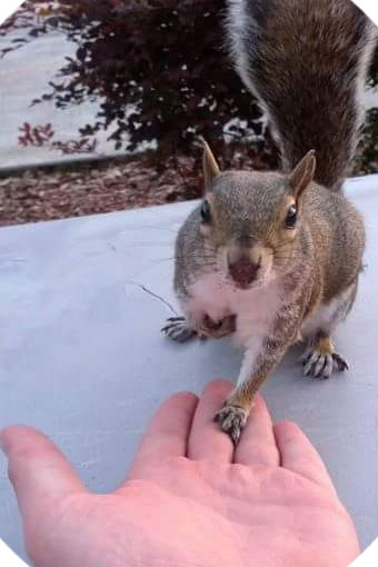 Можно ли считать статистику при малом количестве данных? - 70 Можно ли считать статистику при малом количестве данных? - 70