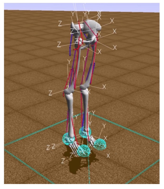 Как я научила робота бегать по видео с YouTube - 3 Как я научила робота бегать по видео с YouTube - 3