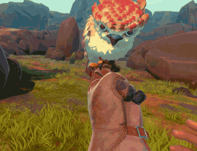 Анатомия сокола - 10 Анатомия сокола - 10