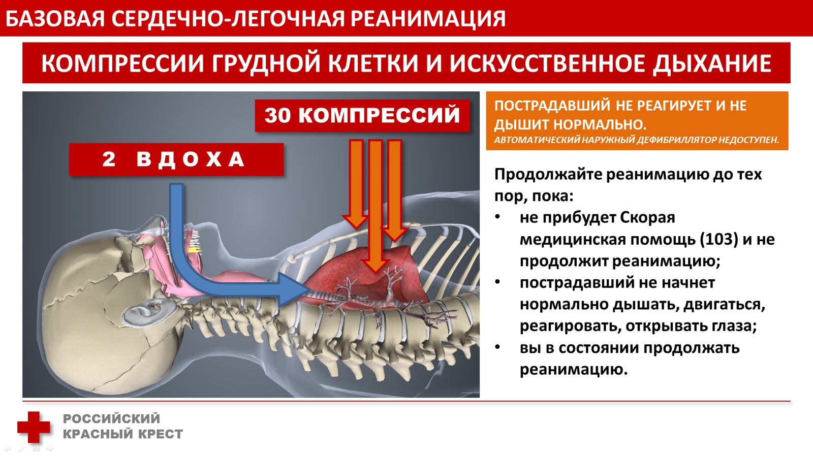 Ликбез по электротравмам (часть вторая): лонгрид о первой помощи и реанимации - 11