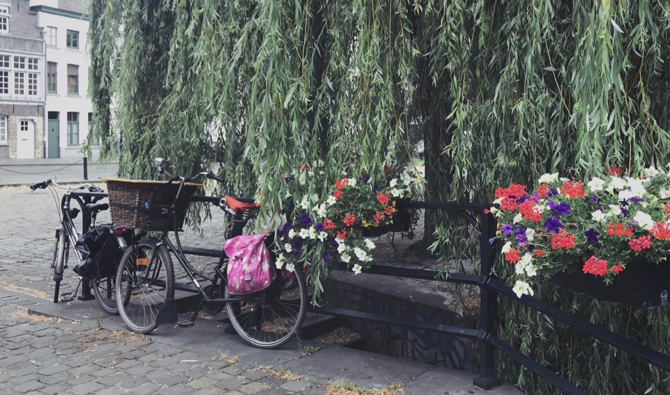 Моя вторая зима без снега или магистратура в Бельгии - 1 Моя вторая зима без снега или магистратура в Бельгии - 1