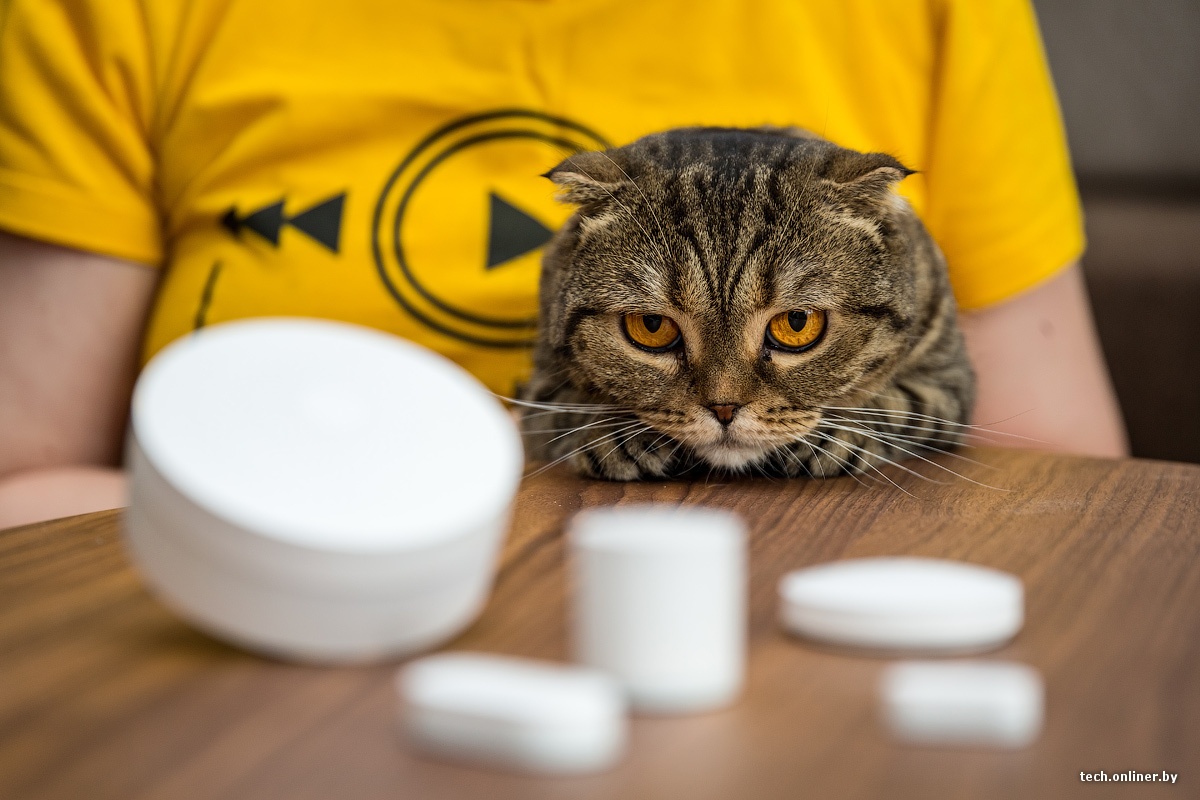 Manifest of Smart Home Developer: 15 principles - 1 image