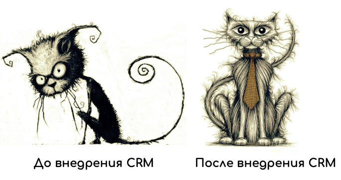 True story рекламного агентства из глубинки: взлёты, падения и внедрение CRM - 4