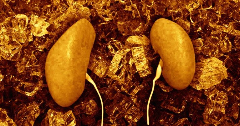 Китайские врачи незаконно изъяли десятки тысяч органов на пересадку Китайские врачи незаконно изъяли десятки тысяч органов на пересадку