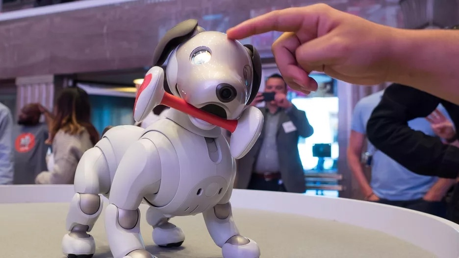 Новая игрушка расширит способности робота-собаки Sony Aibo