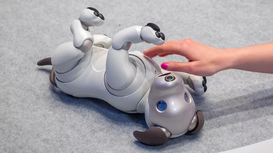 Новая игрушка расширит способности робота-собаки Sony Aibo