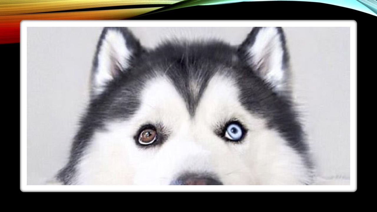 Надёжный JavaScript: в погоне за мифом - 8 Надёжный JavaScript: в погоне за мифом - 8