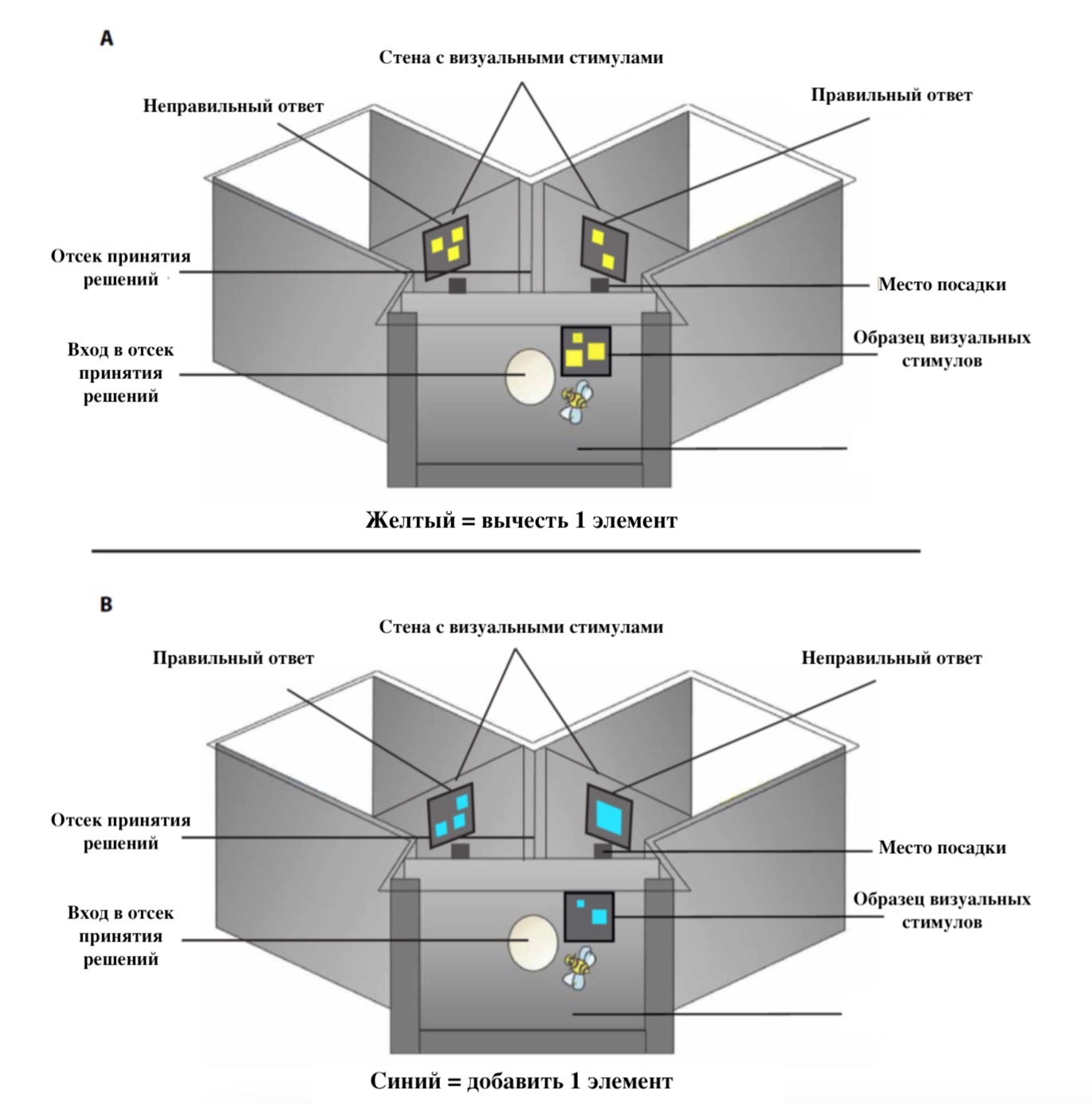 Медовая арифметика: сложение и вычитание в исполнении пчел - 3 Медовая арифметика: сложение и вычитание в исполнении пчел - 3