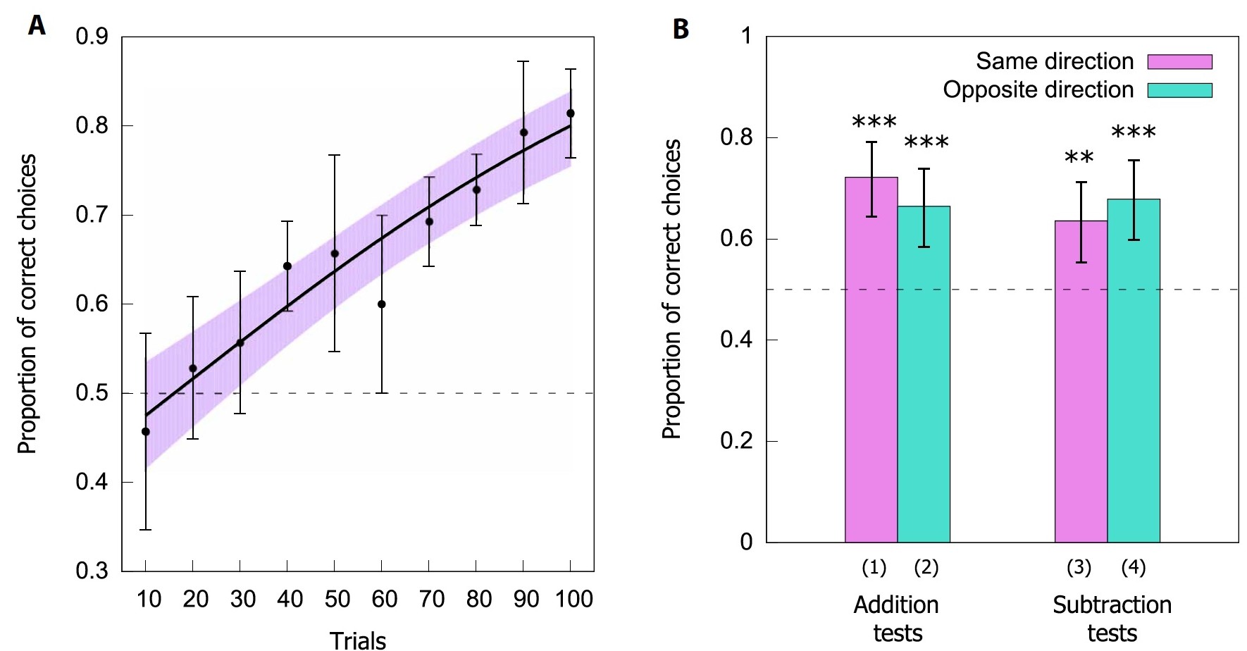 Медовая арифметика: сложение и вычитание в исполнении пчел - 5 Медовая арифметика: сложение и вычитание в исполнении пчел - 5
