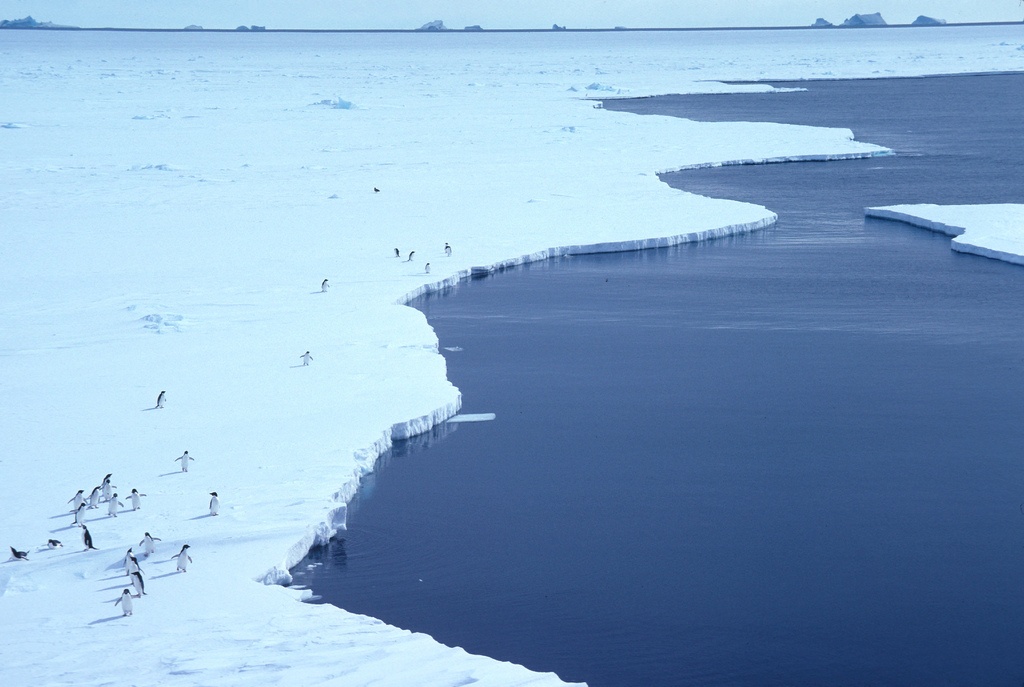 Новый фонд от Linux Foundation — он будет развивать edge computing - 1 Новый фонд от Linux Foundation — он будет развивать edge computing - 1