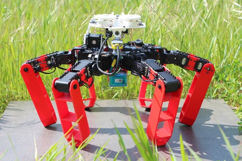 Создан робот, осуществляющий навигацию подобно пустынному муравью - 2