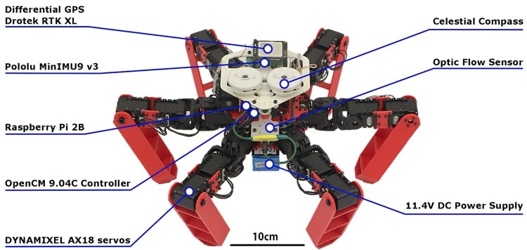 Учёные создали робота-муравья с полностью автономной навигацией без GPS