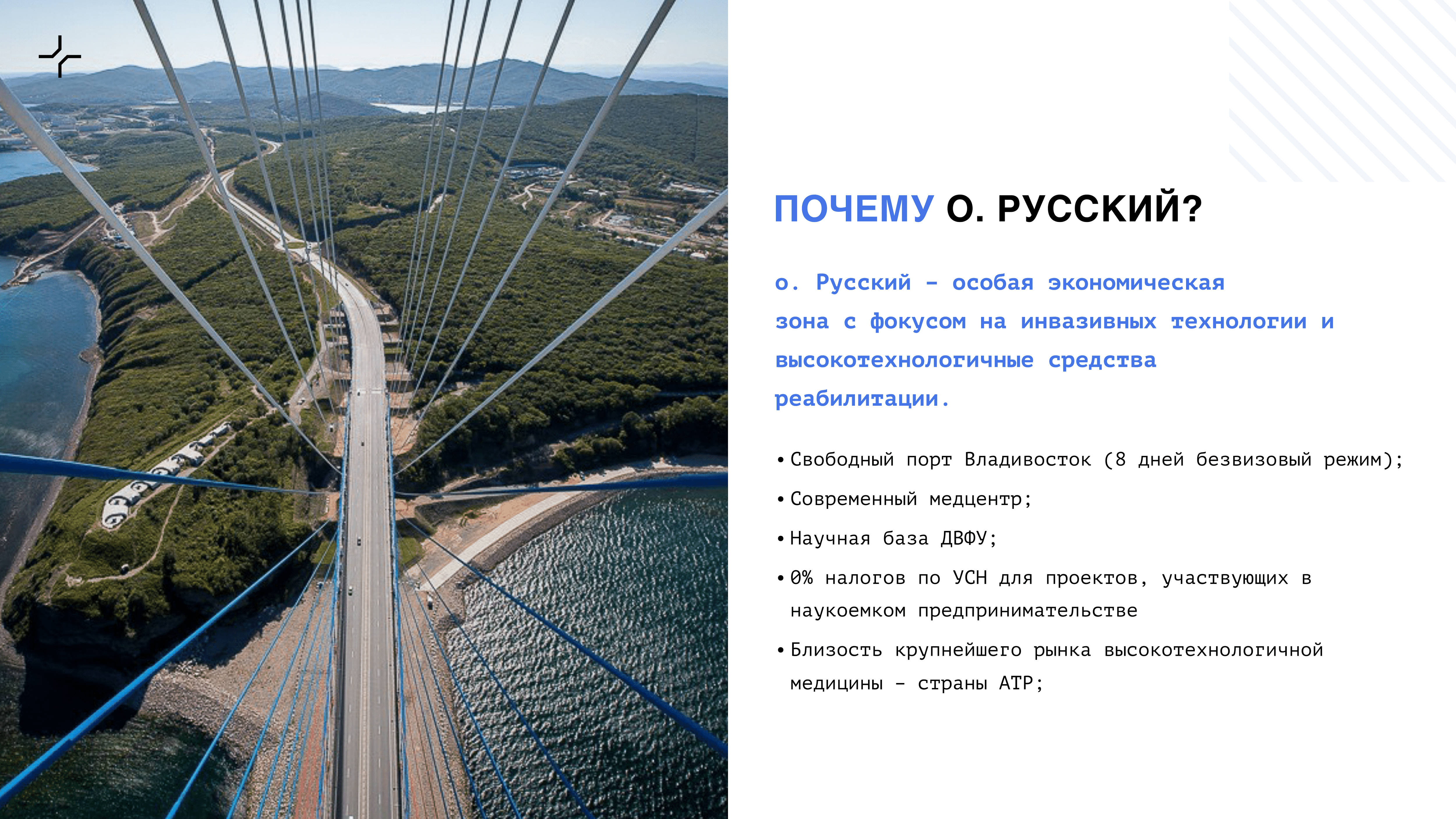 Кто заселит землю киборгов? О будущем статусе острова Русский рассказал директор по развитию компании «Моторика» - 4