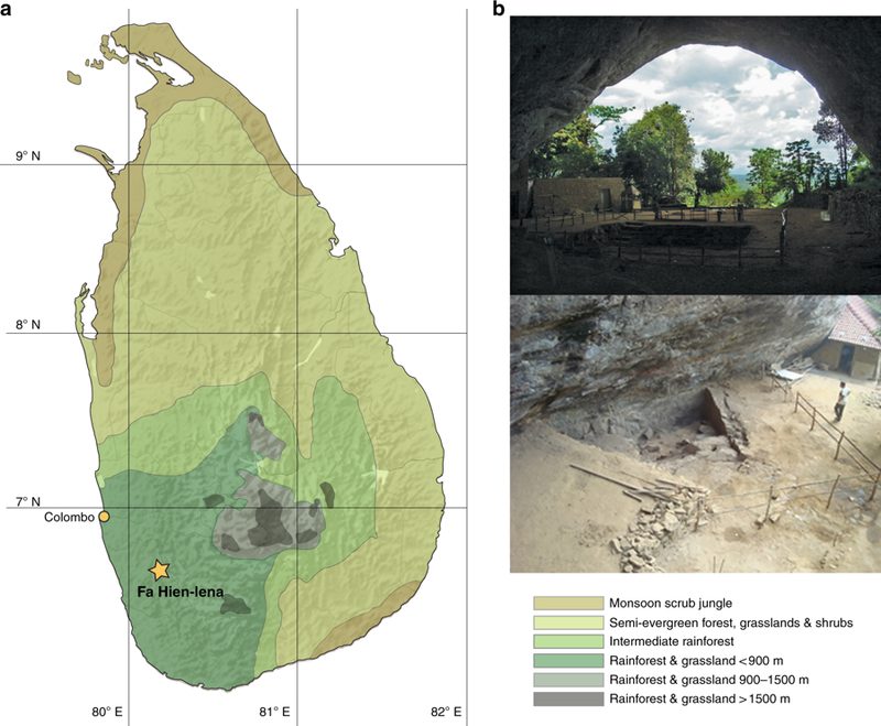 Древние азиаты оказались первыми экологами