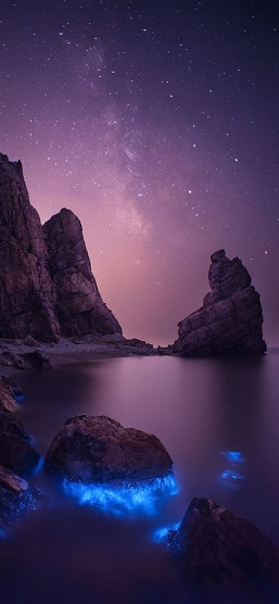 Скачать всю коллекцию. Xiaomi установила на флагманский смартфон Xiaomi Mi 9 прекрасную подборку обоев - 14 Скачать всю коллекцию. Xiaomi установила на флагманский смартфон Xiaomi Mi 9 прекрасную подборку обоев