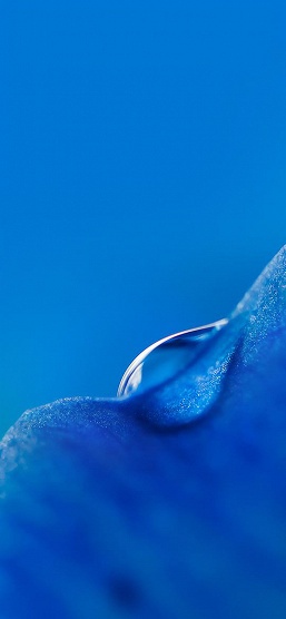 Скачать всю коллекцию. Xiaomi установила на флагманский смартфон Xiaomi Mi 9 прекрасную подборку обоев - 5 Скачать всю коллекцию. Xiaomi установила на флагманский смартфон Xiaomi Mi 9 прекрасную подборку обоев