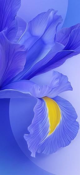Скачать всю коллекцию. Xiaomi установила на флагманский смартфон Xiaomi Mi 9 прекрасную подборку обоев - 7 Скачать всю коллекцию. Xiaomi установила на флагманский смартфон Xiaomi Mi 9 прекрасную подборку обоев