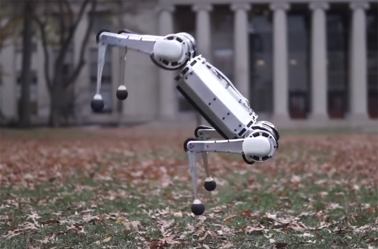 Видео дня: сальто назад в исполнении робота-гепарда