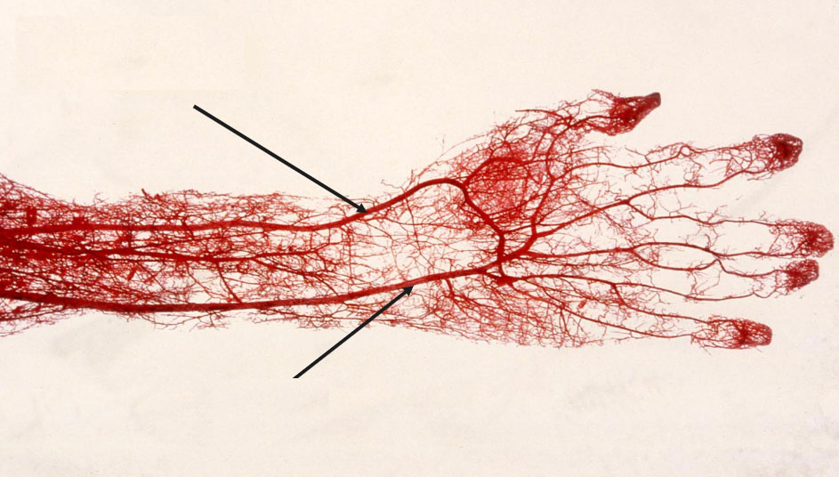Как повысить безопасность в системах идентификации личности и контроля доступа - 7 image
