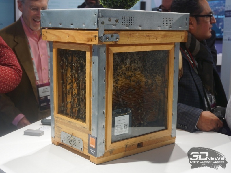 Новая статья: MWC 2019: золотые китайские смартфоны, пчёлы с LTE и другие самые странные новинки Новая статья: MWC 2019: золотые китайские смартфоны, пчёлы с LTE и другие самые странные новинки