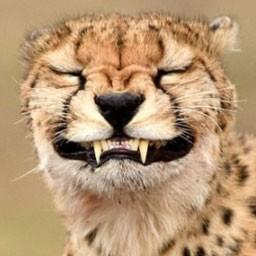 Использование Fastify и Preact для быстрого прототипирования веб-приложений - 3 Использование Fastify и Preact для быстрого прототипирования веб-приложений - 3