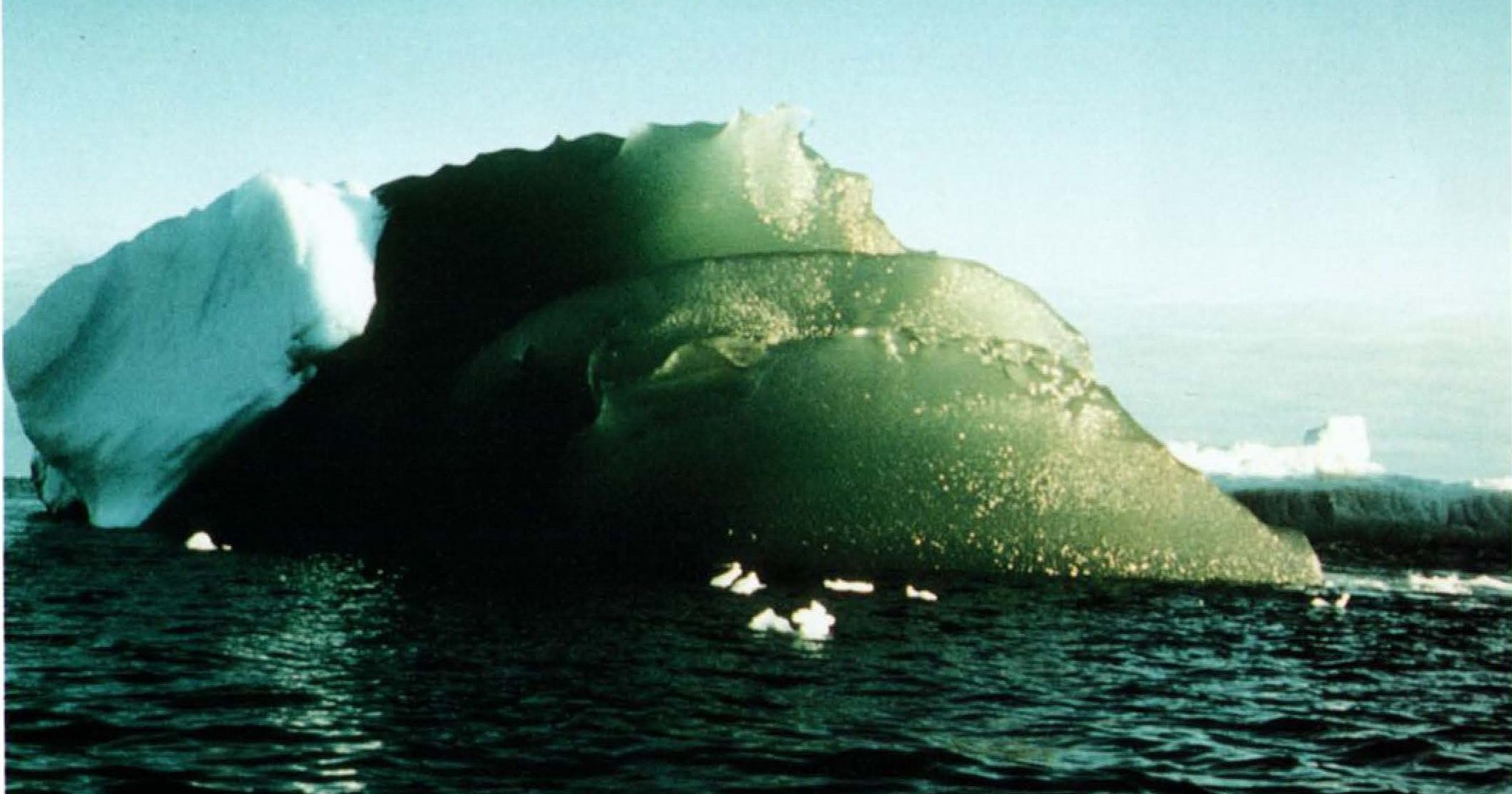Откуда в Антарктиде зеленый лед: загадка природы