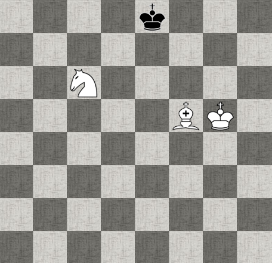 Мат слоном и конём - 12