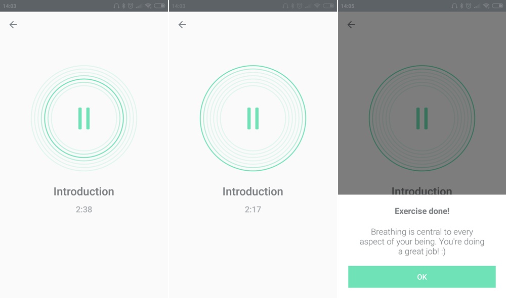 Обзор велнес-гаджетов для женщин Bellabeat - 15 Обзор велнес-гаджетов для женщин Bellabeat - 15