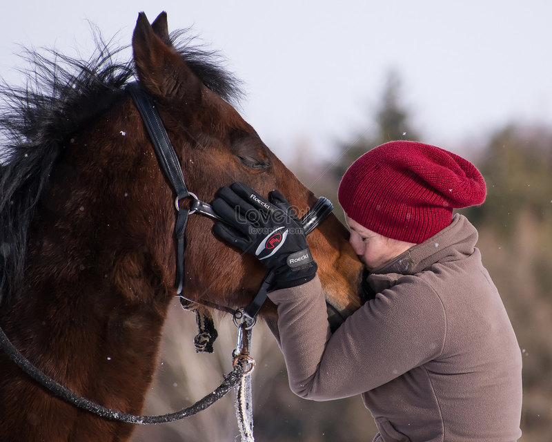 15 домашних питомцев — от самых любящих до тех, кому на вас наплевать