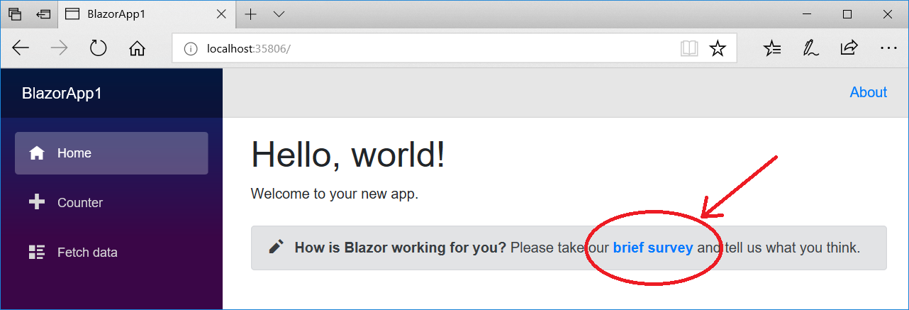 Blazor survey