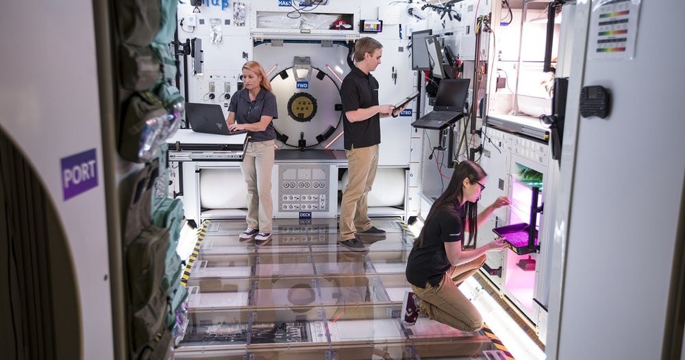 Lockheed Martin сделала полноразмерный прототип жилого окололунного модуля Lockheed Martin сделала полноразмерный прототип жилого окололунного модуля