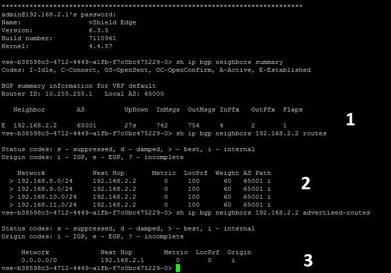 VMware NSX для самых маленьких. Часть 4. Настройка маршрутизации - 38