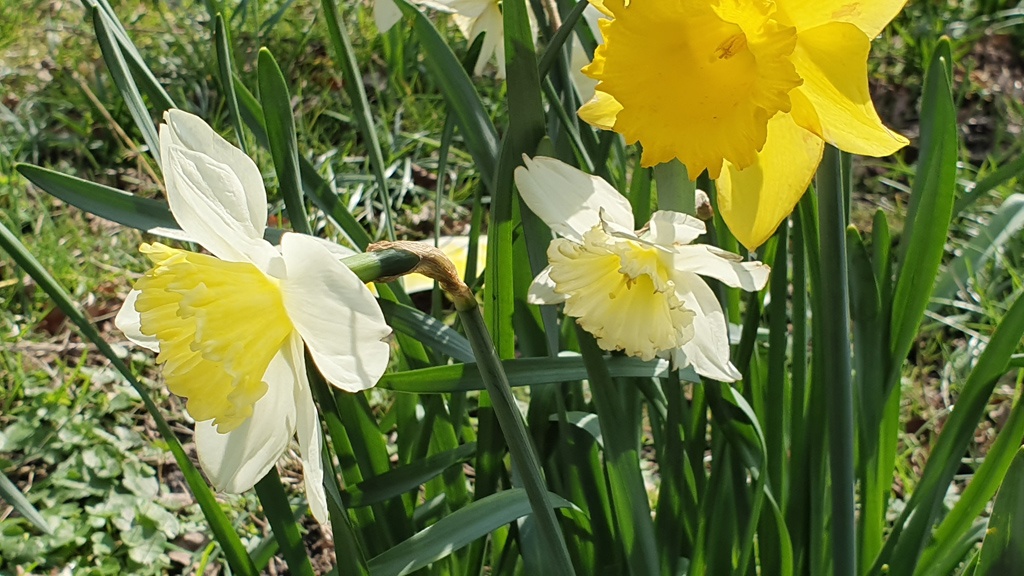 Тестирование Samsung Galaxy S10 — когда смартфоны по возможностям догонят фотокамеры? - 14 Тестирование Samsung Galaxy S10 — когда смартфоны по возможностям догонят фотокамеры? - 14