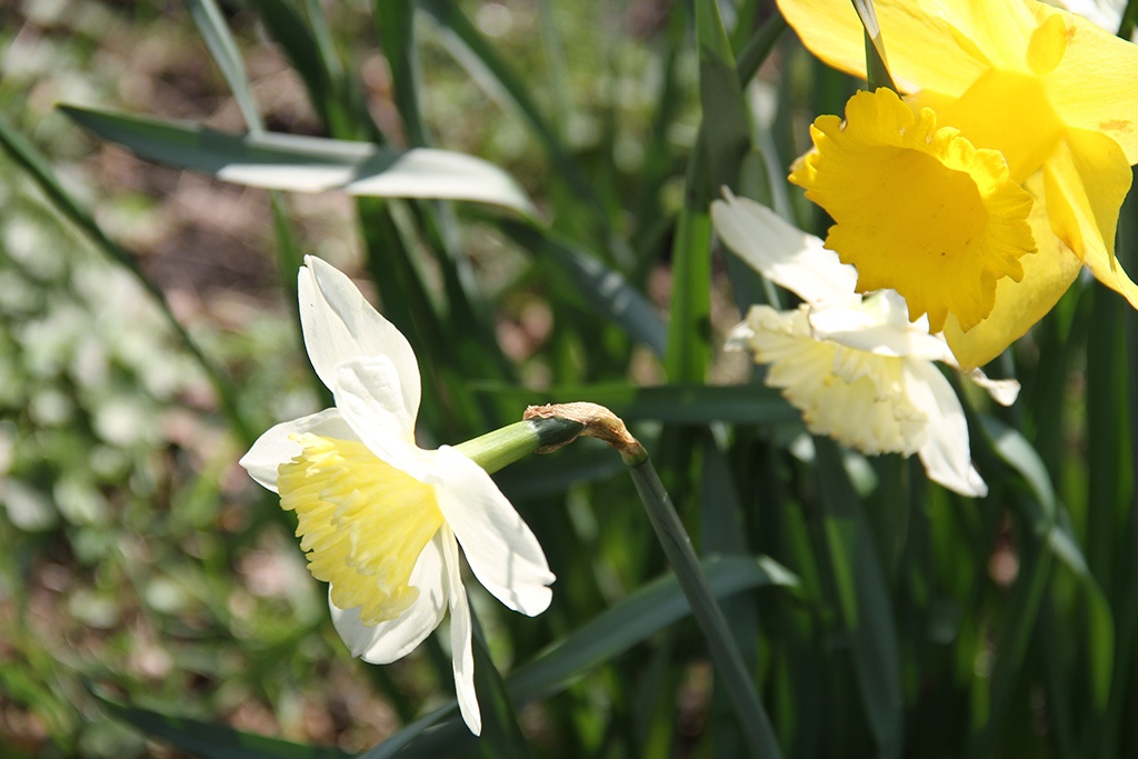 Тестирование Samsung Galaxy S10 — когда смартфоны по возможностям догонят фотокамеры? - 15 Тестирование Samsung Galaxy S10 — когда смартфоны по возможностям догонят фотокамеры? - 15