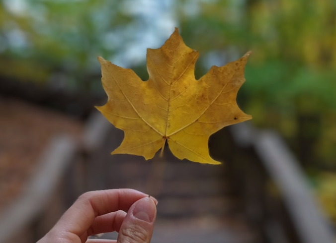 Тестирование Samsung Galaxy S10 — когда смартфоны по возможностям догонят фотокамеры? - 18 Тестирование Samsung Galaxy S10 — когда смартфоны по возможностям догонят фотокамеры? - 18