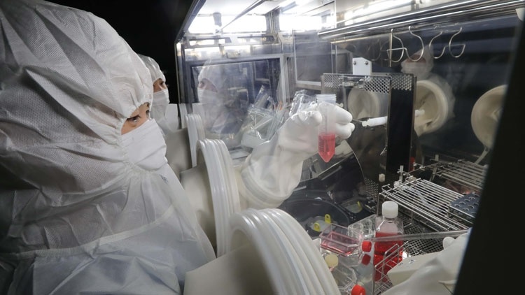 США запрещает японским университетам научный обмен и сотрудничество с Китаем и другими странами США запрещает японским университетам научный обмен и сотрудничество с Китаем и другими странами