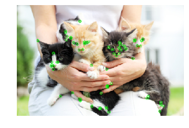 Нахождение объектов на картинках - 55