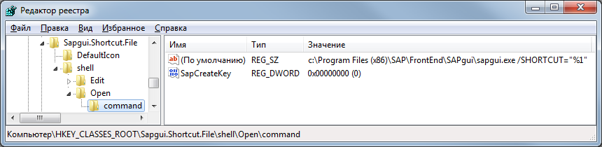 Запуск SAP GUI из браузера - 3