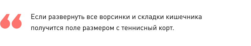 Микробиота. Что это за орган и зачем он нам - 4 Микробиота. Что это за орган и зачем он нам - 4