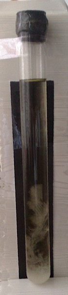 Штормгласс – кристаллы предсказатели - 4 Штормгласс – кристаллы предсказатели - 4